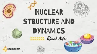 Nuclear Structure and Dynamics | Introduction