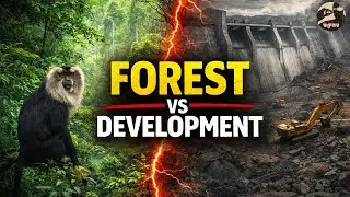 The Silent Valley Movement | How People Stopped a Dam and Saved a Forest | The Stories that Matter