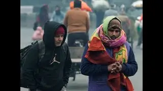 Cold wave condition stays on in North India, fog disrupts Delhi travels