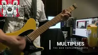 MULTIPLIES／The Mad Capsule Markets cover