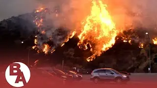 Trump pushes forest management to address California's wildfire crisis