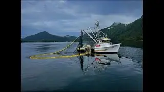 Prince William Sound Seining Valdez 2022