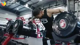 Wwe Roman reign .    ..  #  workout