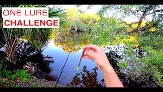 Bank Fishing for Bass | New Orleans City Park