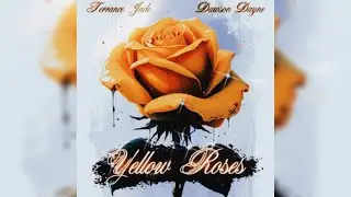 Yellow Roses (feat. @DawsonDayne) prod. By Terrance Jade.