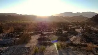 Challenging times for the 'Korean Valley' after the Blue Cut fire