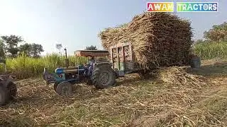 Ford 4610 _Ford 3600 and MF 375 Performance On Sugarcane Loaded Trolley.