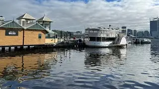 193. Adventures - Mixing Beach, Chat, Wildlife & Reflections of Perth - West Australia
