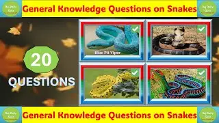 Do you know these about Snakes | 20 General Knowledge on Snakes Quiz!