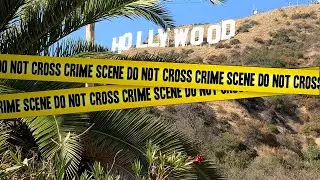 Hollywood Crime Scene: Cults (11/16/22)
