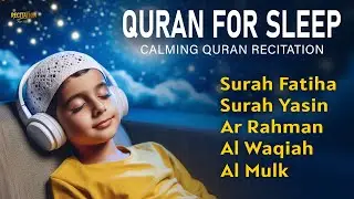 Quran Recitation For Sleep | Calming Recitation With Emotional Gentle Melody | By Alaa Aqel