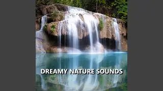 Spellbinding Garden Nature Recording