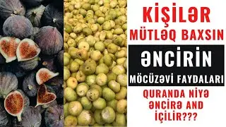 ƏNCİRİN MÖCÜZƏVİ FAYDALARI HAQQINDA| KİŞİLƏR MÜTLƏQ BAXSIN!