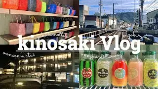 【Vlog】温泉街でゆるっと家族旅行