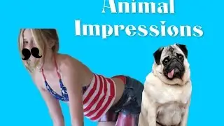 22 Animal Impressions
