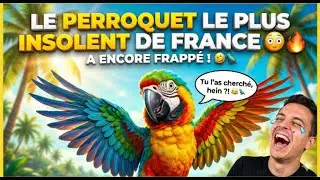 🦜 LE PERROQUET LE PLUS INSOLENT DE FRANCE A ENCORE FRAPPÉ ! 🤣