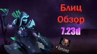 Блиц обзор патча 7.23d