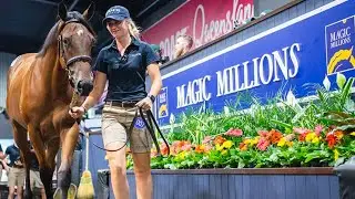 Magic Millions 2026 Gold Coast Yearling Sale - Best Racetrack Prospects!