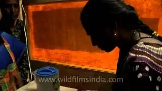 Cow urine oil massage with therapeutic results, Nashik