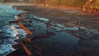 Coledale Beach Stroll