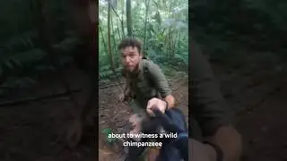 NEARLY ATTACKED BY AN AGGRESSIVE CHIMPANZEE! | Jungle Survival POV