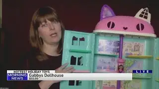 The most wanted toys for the 2021 holiday season