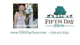 Things To Do Valdosta I Petting Zoo I Llama Madness I Fifth Day Farm