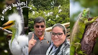 Walking Through WAKODAHATCHEE WETLANDS | Birding + Mating Season 2025
