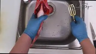 How to fillet a fish?/ 起魚柳