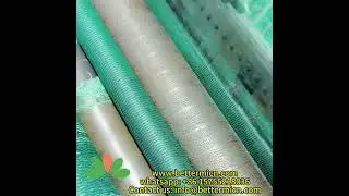 Cheap price UV Stabilized PE anti bird netting-hefei better