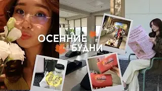 Осенний влог | Кимэп, сьемки Daniva, пилатес, ArtDani studio, жизнь в Алматы