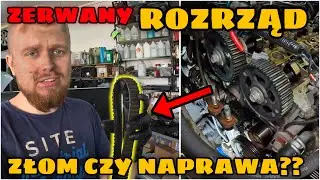 Jakie USZKODZENIA?? KOSZTY i SENS naprawy MAZDY!!  Odc.252