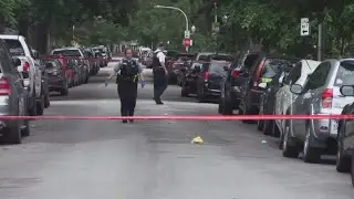 West Rogers Park car owner shot by catalytic converter thieves