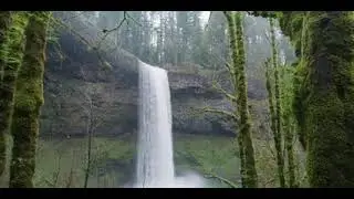 nature video nater relaxing video