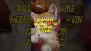 Katzen und ihre Liebesbisse ❤️🐾 &ndash; Ein Zeichen von Zuneigung!