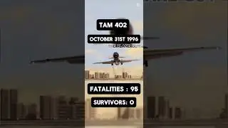 TAM 402편