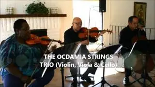 OMG: Welcome To The Jungle (Guns N' Roses) Cover | Contemporary Cocktail Wedding Song