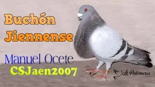 Buchón Jiennense Manuel Ocete CSJaén2007