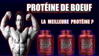 Que vaut la proteine de Boeuf ! Arnaque ou produit de qualit&eacute; ?