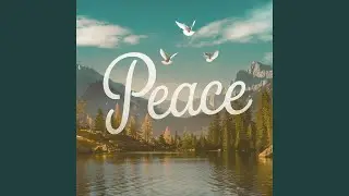 Serene Stillness