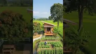 My Idyllic Dream Cabin🏡Escape the City Rush 💚 #relaxing #nature #countrybeauty