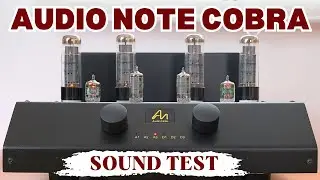 AUDIO NOTE COBRA AMPL. AN-J/Lx SPEAKERS, DAC2.1X SIGN. BURMESTER 939 CD #audionote #hifi  #stereo