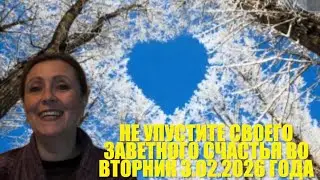 👌👌День всех возможностей : Вторник 3 февраля 2026 года 👌👌