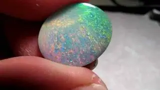 MVI_7485.AVI  The Gambler - Black Opal  3.6 CT  15.5 x 13mm