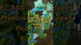 5 datos curiosos de Ecuador