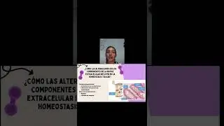 Problema 3. La matriz extracelular 