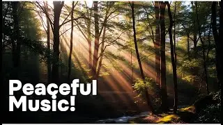 Serene Soundscape: Peaceful Background Music for Stress Relief and Relaxation
