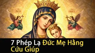 7 Phép Lạ Đức Mẹ Hằng Cứu Giúp Tại Việt Nam  |  Khiến Bạn Rơi Nước Mắt  |  Xem Ngay