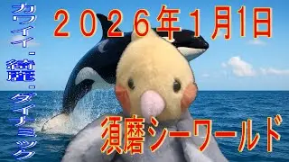 【No.3】須磨シーワールドに行ってきたよ