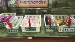 BIZTOWN 2017